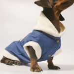 rockstar denim dachshund jacket