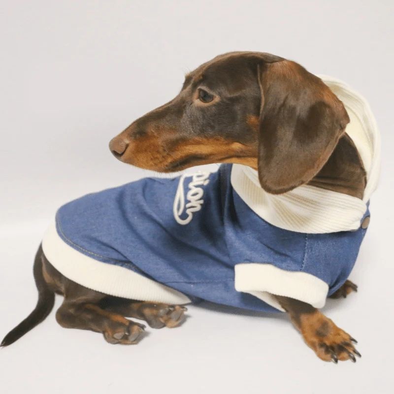 dachshund-space-rockstar-denim-dachshund-jacket-3 rockstar denim dachshund jacket