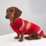 rudolph cozy knit dachshund sweater