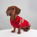 rudolph cozy knit dachshund sweater