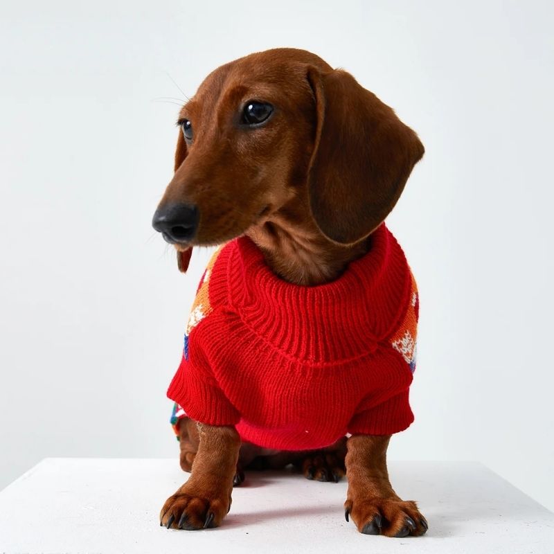 dachshund christmas sweater