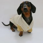 sheepsnug thermal dachshund jacket