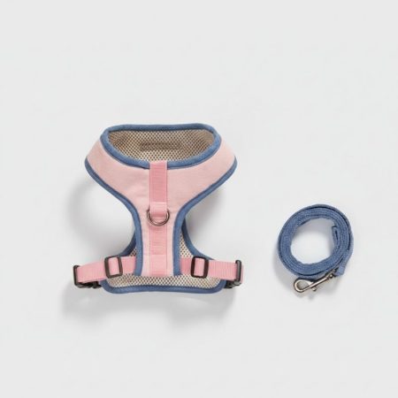 soft doxie harness