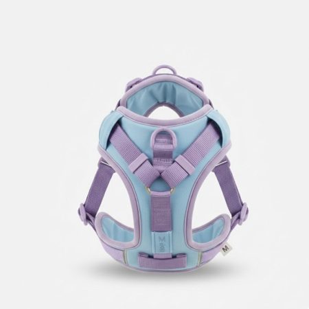 soft support doxie harness