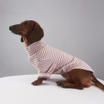 sugarstripe dachshund onesie