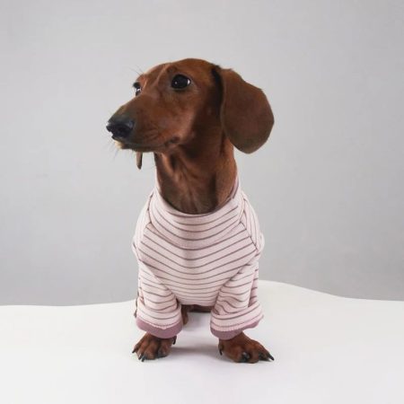 sugarstripe dachshund onesie