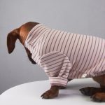 sugarstripe dachshund onesie