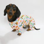 sunshine dachshund onesie pajamas