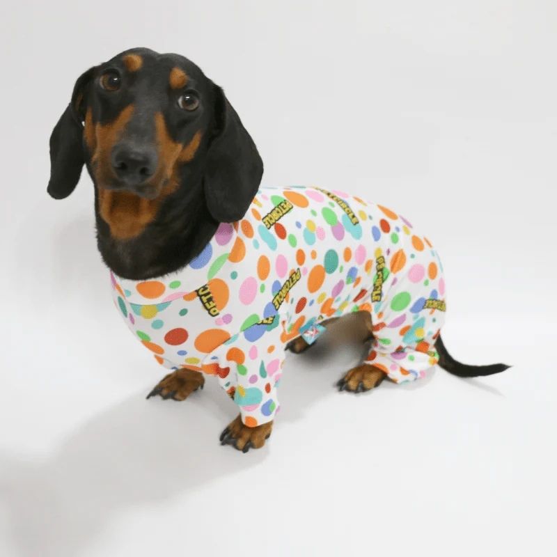 sunshine dachshund onesie pajamas