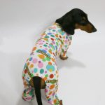 sunshine dachshund onesie pajamas
