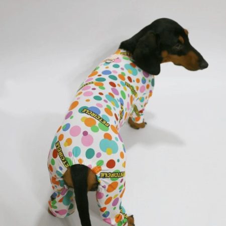 sunshine dachshund onesie pajamas