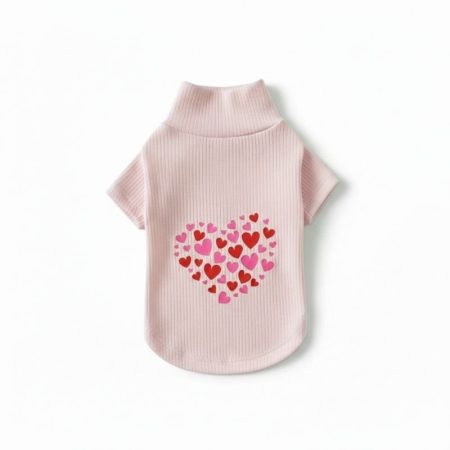 valentine dachshund sweatshirt