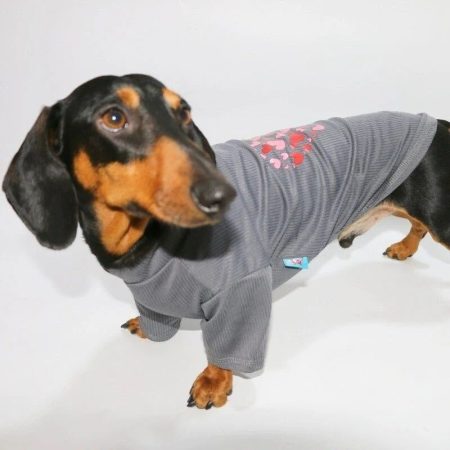 valentine dachshund sweatshirt