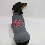 valentine dachshund sweatshirt