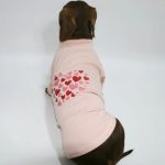 valentine dachshund sweatshirt