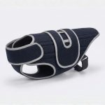 dachshund back brace