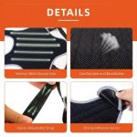 dachshund back brace