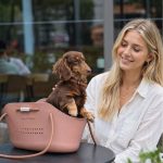 o-dox dachshund carrier