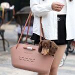 o-dox dachshund carrier