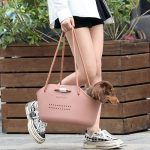 o-dox dachshund carrier