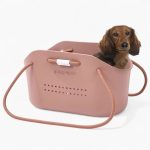 o-dox dachshund carrier