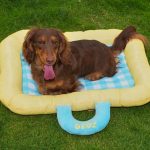 icecool dachshund mat