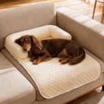 Doxie Space Cooling Mat