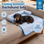 Doxie Space Cooling Mat