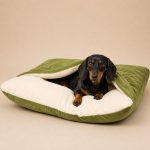 dachshund space sleepnest bag