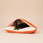 dachshund space sleepnest bag