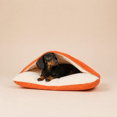 dachshund space sleepnest bag