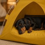 cozy dachshund tent house