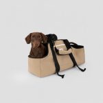 dachshund space longbody carrier