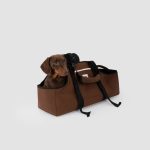 dachshund space longbody carrier