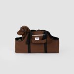 dachshund space longbody carrier