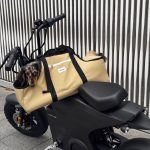 dachshund space longbody carrier