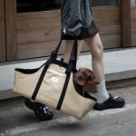 dachshund space longbody carrier