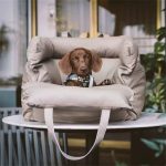Dachshund Space DoxieBoost Seat