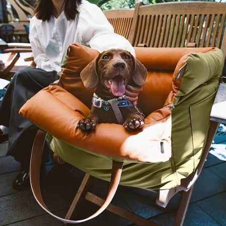 Dachshund Space DoxieBoost Seat