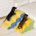 dachshund bed stairs