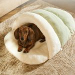 dachshund burrow bed