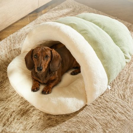 dachshund burrow bed
