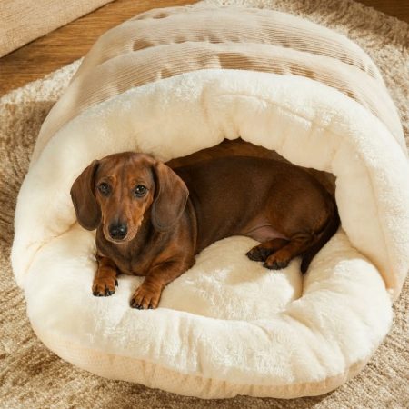 dachshund burrow bed