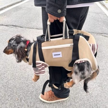 dachshund space duocarry carrier
