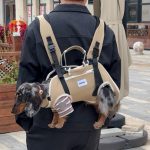 dachshund space duocarry carrier