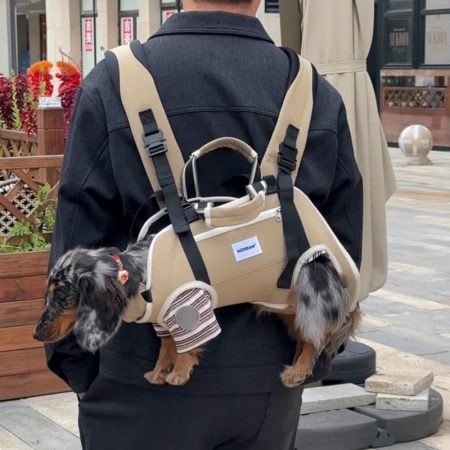 dachshund space duocarry carrier