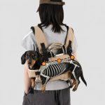 dachshund space duocarry carrier