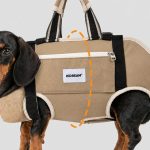 dachshund space duocarry carrier