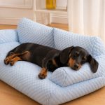 Dachshund Space CoolPaws Sofa