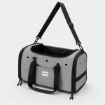 in-cabin dachshund flight carrier